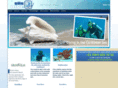 siisdive.com
