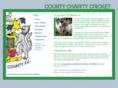 gogogocounty.org