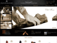 platiniumsport.com