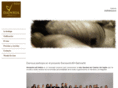 dainsua.com