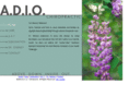 adio-chiropractic.com