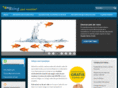 enyzing.com