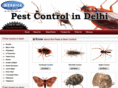 pestcontrolindelhi.com