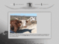 trlonghorns.com