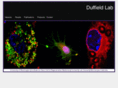 duffieldlab.com