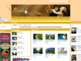 bridaltv.ro