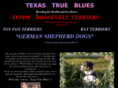 texastrueblues.net