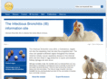 infectious-bronchitis.com
