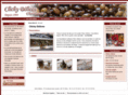 chocolaterie-clichy-delices.com