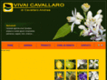vivaicavallaro.it
