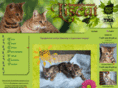 liscat.ru
