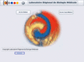lrbm.net