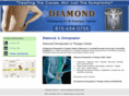 diamondchiropractictherapycenter.com