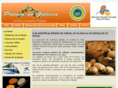 patatadegalicia.com