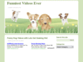 funniestvideosever.net