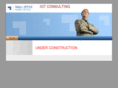 igt-consulting.com