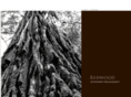 redwoodim.com