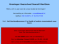 marifoon.info