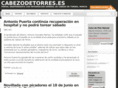 cabezodetorres.com