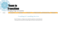 teamintransition.com