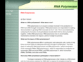 rnapolymerase.com