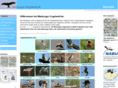 marburger-vogelwelt.de