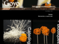 goyomarbella.com