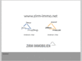 zirm-immo.net