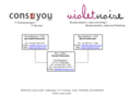 cons4you.com