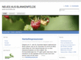 wscheffer.de