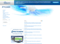 dsv.ru