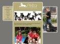 akitaeducation.com