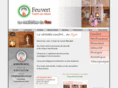 feuvertfoyerdemasse.com