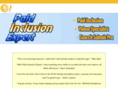paidinclusionexpert.com