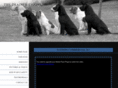 thetrainedcanine.com