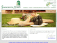 springwaterhomes.com