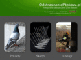 odstraszanieptakow.pl