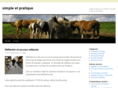simplepratique.net