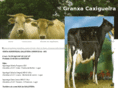 granxacaxigueira.com