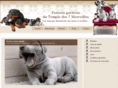 pension-chien-limousin.com