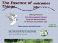 essenceofthings.com