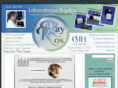 rayros.com