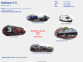 saltrans.co.uk