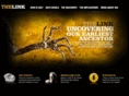 revealingthelink.com