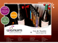 vignum.com
