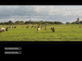 henrichsonranch.com