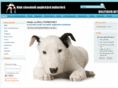 bullterier.net