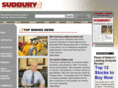 sudburyminingsolutions.com