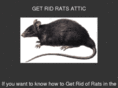 getridratsattic.com