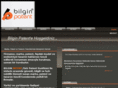 bilginpatent.com
